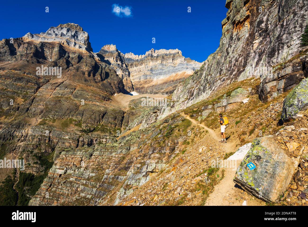 Escursionista sul Yukness Ledges Trail sopra il lago o'hara, Yoho National Park, British Columbia, Canada Foto Stock