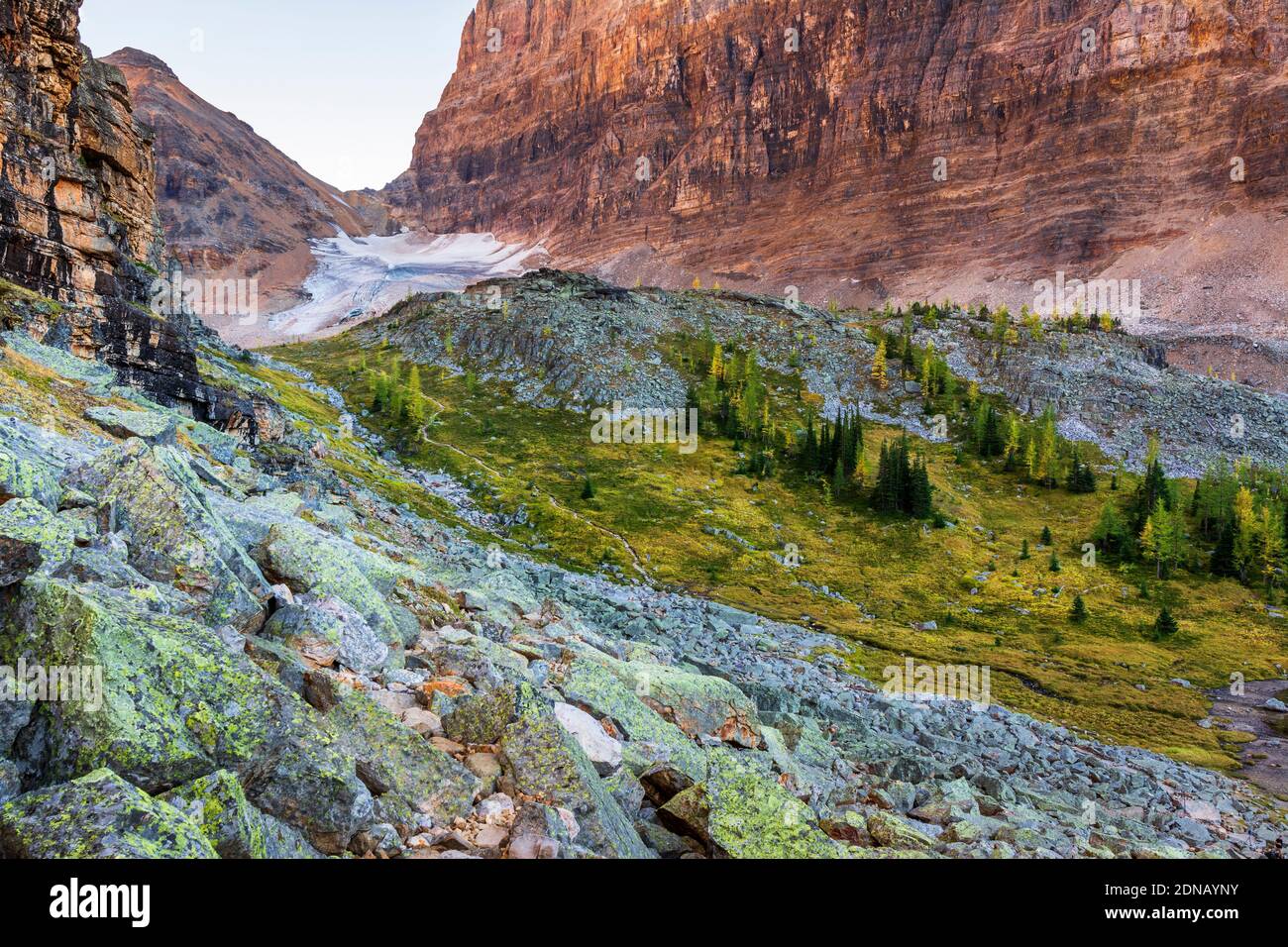 L'altopiano di Opabin dal Yukness Ledges Trail, Yoho National Park, British Columbia, Canada Foto Stock