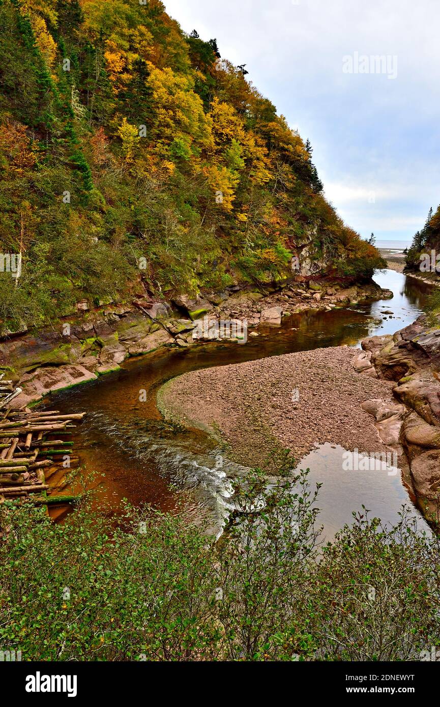 Un'immagine VERTICALE che mostra le rocce di colore rosso e l'aspro paesaggio costiero dove il fiume Point Wolfe entra nella Baia di Fundy nel Parco Nazionale di Fundy Foto Stock