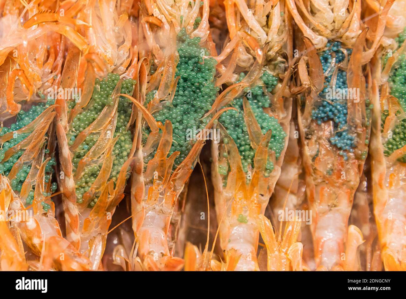 Full Frame Shot di gamberi con uova di gamberi in UN mercato in Giappone  Foto stock - Alamy