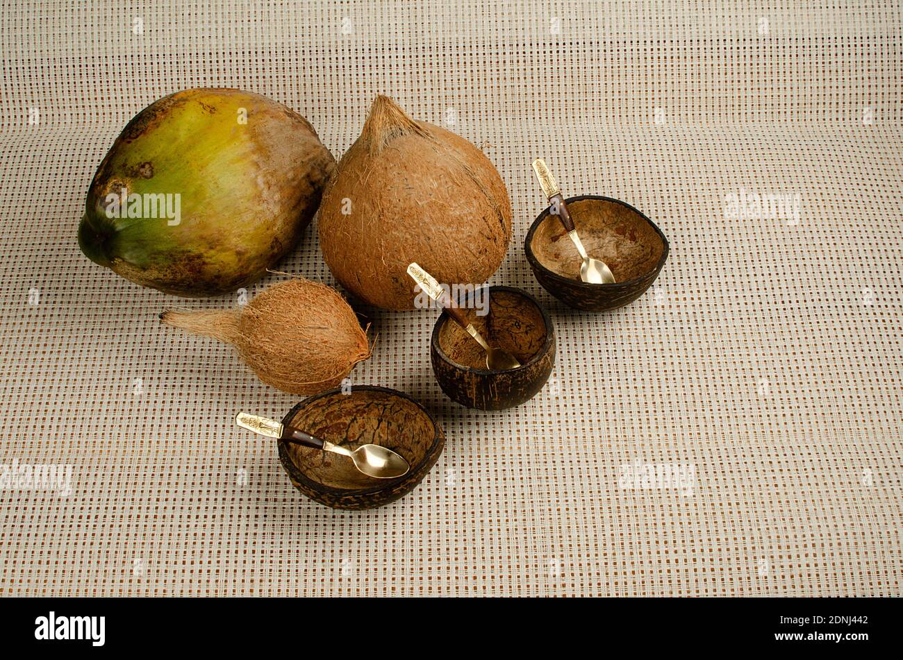 Concetto semina cocco crudo a ciotole fatte a mano. Vista angolo superiore, Studio Shot Foto Stock