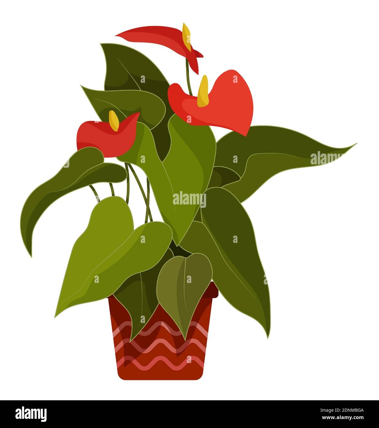 Anthurium. Pianta tropicale interna in vaso di fiori. Fiori rossi a forma  di cuore con ampie foglie verdi. Piante in giardino batanico. Vettore  Immagine e Vettoriale - Alamy