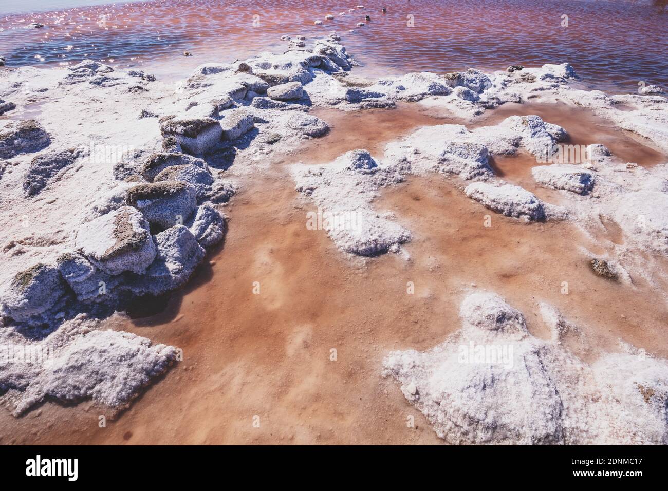 Salty Pink lake shore. Stones covered with salt. Nature background Foto Stock