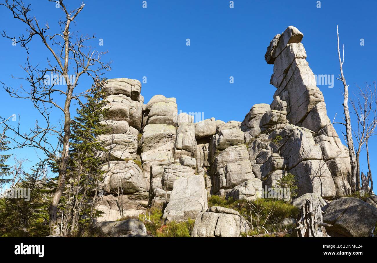 Formazioni di rocce di pecora nel Parco Nazionale di Karkonosze, Polonia. Foto Stock