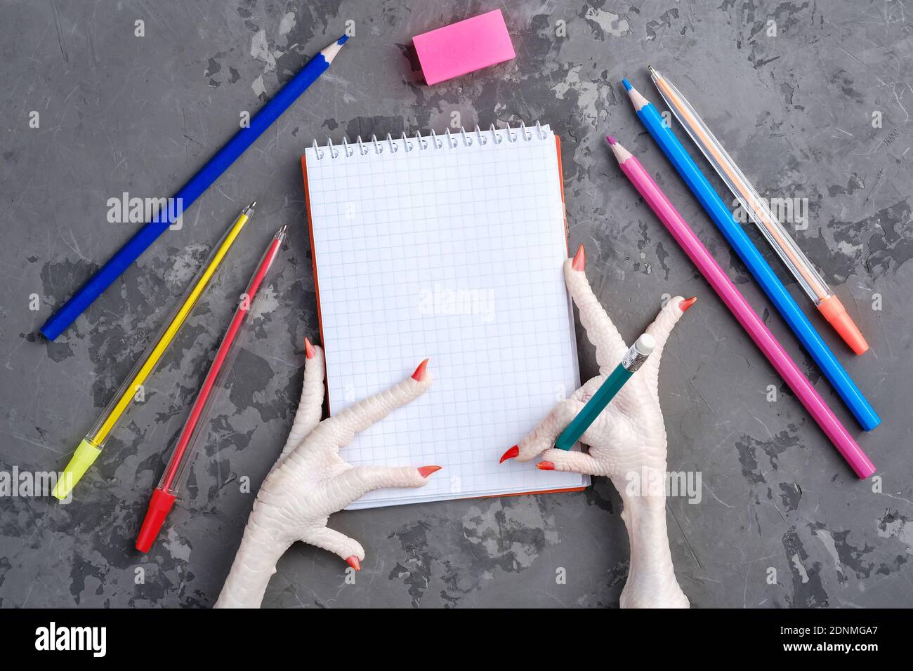 Paw di pollo verniciato tiene una matita sopra un foglio di white paper per la scrittura Foto Stock