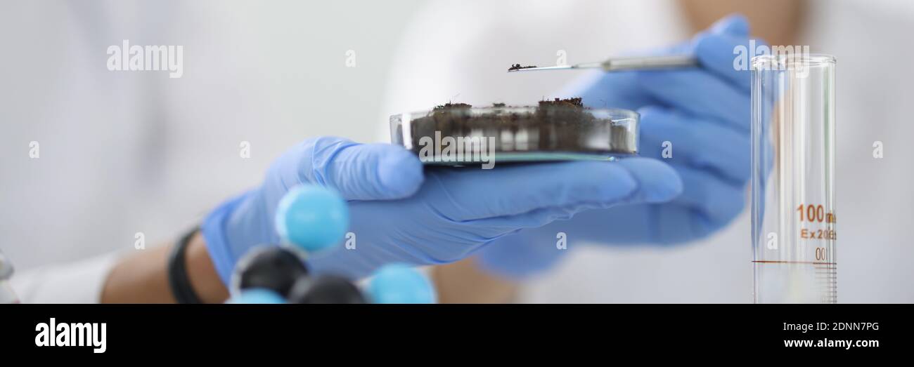 Il ricercatore tiene in mano una fiasca di vetro con terra Foto Stock