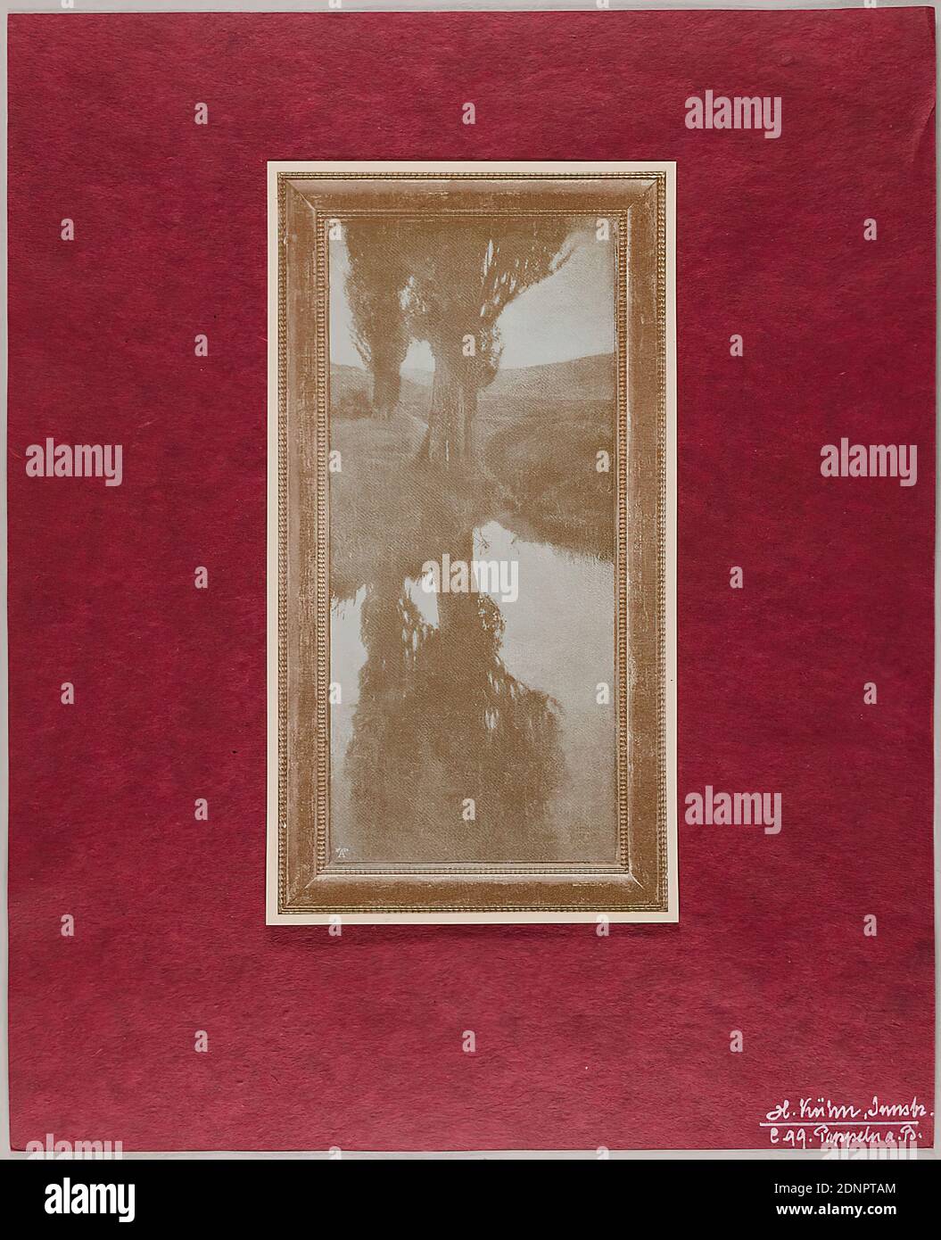 Heinrich Kühn, Pappeln B, carta, autotype, stampa duplex (duotone), dimensione immagine: Altezza: 20.50 cm; larghezza: 10.70 cm, inscritto: Nella forma di stampa: In basso a sinistra: Dr A Co, inscritto: Recto: In basso a destra sul supporto immagini (cartoncino rosso) in inchiostro bianco: H. Kühn. Innsbruck, c. 99. Pioppi B, sul retro del contenitore di cartone n. e n. scatola, nonché indicazione stampata o scritta a mano dell'eh. Posizione (cabinet/box), fotografia artistica, fotografia paesaggistica, idillio, scene rurali, scene arcadie, fiume, alberi, arbusti Foto Stock