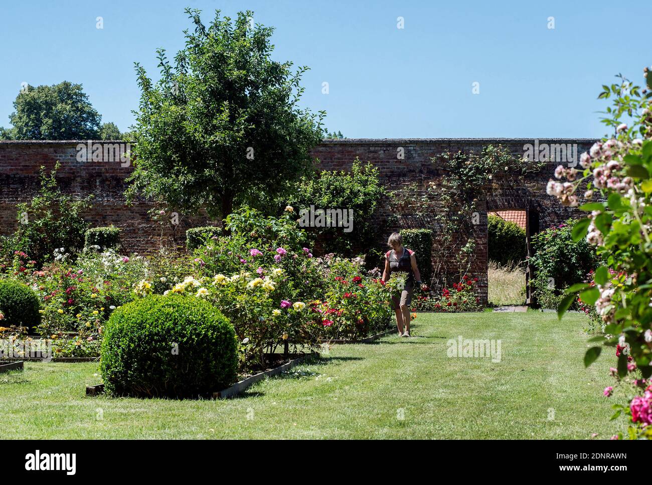 Chateau de Rambures, castello registrato come monumento storico nazionale (francese 'monument historique'). Il giardino delle rose. Foto Stock