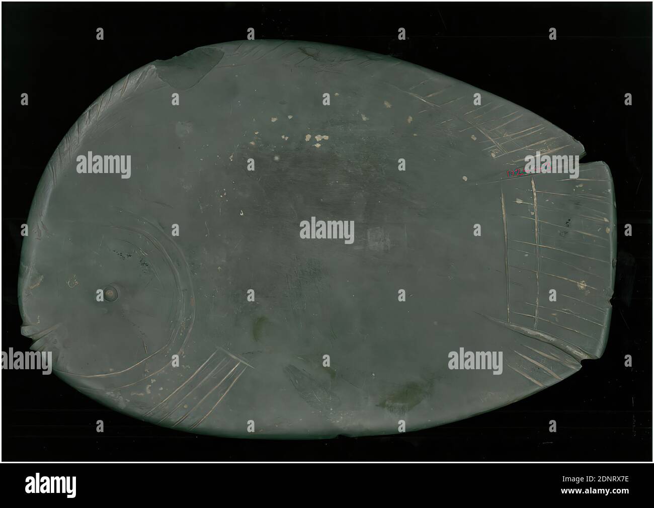 Tavolozza dei make-up sotto forma di pesce tilapia, ardesia, sbattuto, ritoccato (lavorazione pietra), levigato, forato, grigiwacke, totale: Altezza: 26.5 cm; larghezza: 39 cm; profondità: 2.5 cm; profondità: 2 cm (piatto), oggetti rituali e accessori, oggetti per tomba, pesci (animali), la tavolozza del make-up ha la forma di un pesce tilapia (cichlid) lo spessore della piastra è rastremato al bordo macinando su entrambi i lati. La testa del pesce ha una bocca leggermente sporgente, l'occhio è indicato da una depressione emisferica e una volta era probabilmente riempito con una massa colorata diversa. Foto Stock