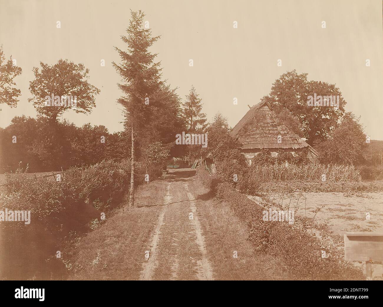 Anton Joachim Christian Bruhn, Groß Hansdorf - Dorfidyll, carta albumina, processo positivo in bianco e nero, dimensione immagine: Altezza: 16.50 cm; larghezza: 22.40 cm, etichetta: verso sul cartone: In caratteri macchina da scrivere: Groß-Hansdorf, foto di Bruhn, fotografia artistica, fotografia di reportistica, paesaggio con piante, fattoria, casa remota, strada di campagna, percorso, percorso, casa residenziale, casa ripostita, hist. Costruzione, località, strada, hist. Place, città, villaggio, alberi, cespugli, Großhansdorf Foto Stock