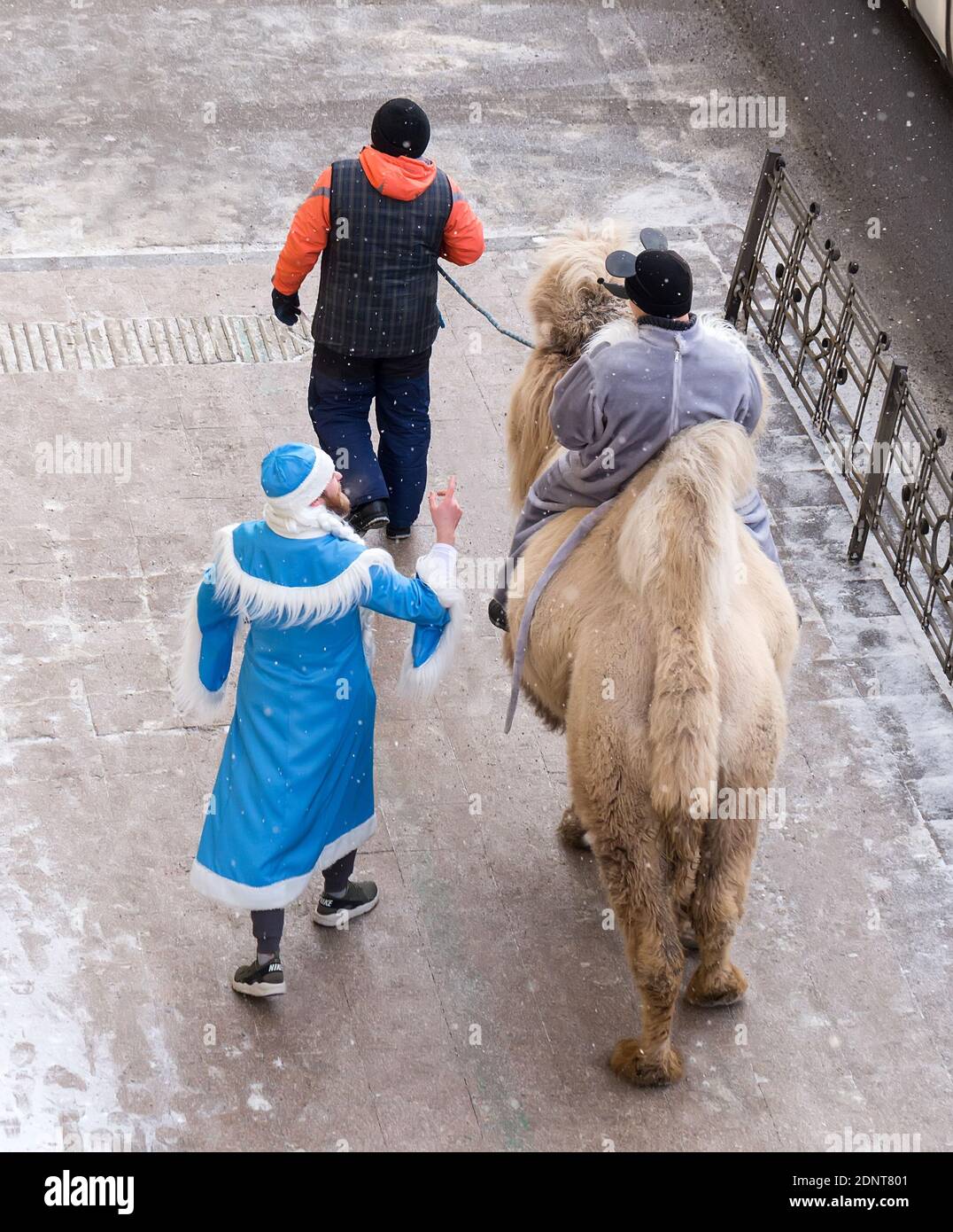 Irkutsk, Russia - 23 dicembre 2019: L'uomo in una tuta di topo d'argento cavalca un cammello sulla via centrale di Lenin. Padre Frost Babbo Natale che cammina accanto Foto Stock
