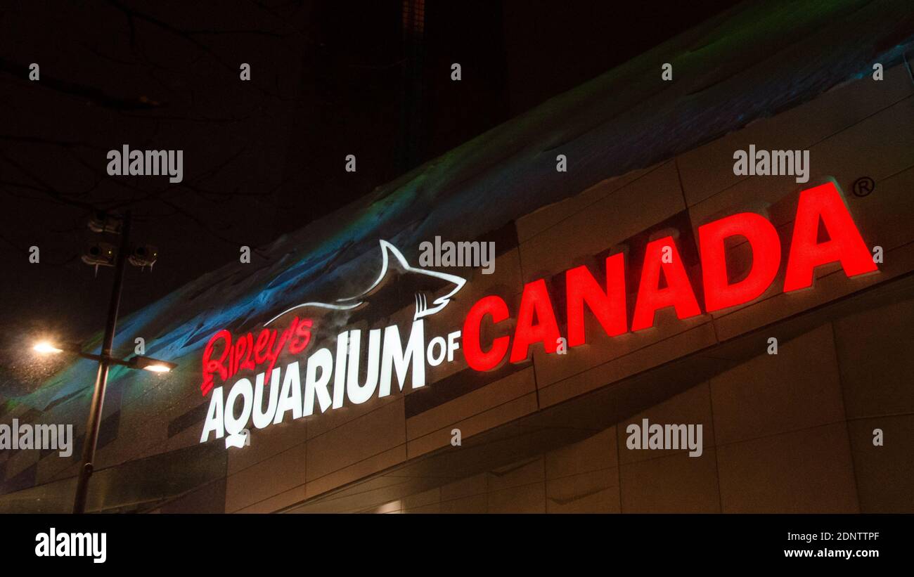 Ripley's Aquarium of Canada, Toronto Foto Stock