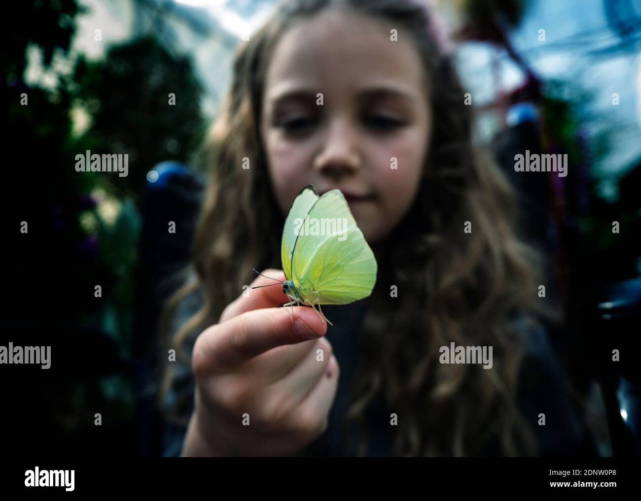 Sorridente ragazza che guarda una farfalla sul dito, Italia Foto Stock