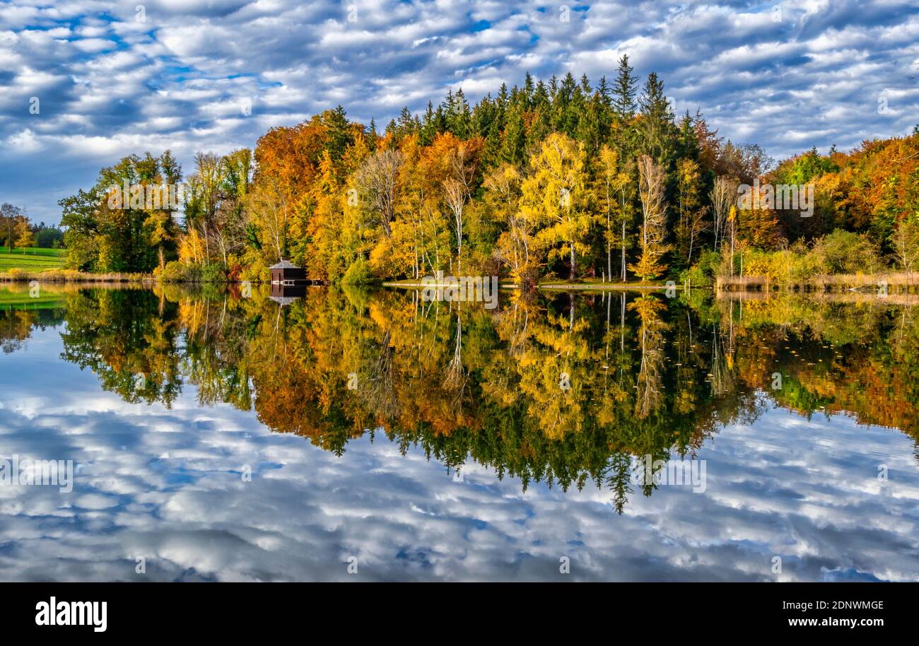 Umore autunnale all'Haarsee, vicino a Weilheim, Pfaffenwinkel, Foreland Alpina, alta Baviera, Baviera, Germania, Europa Foto Stock