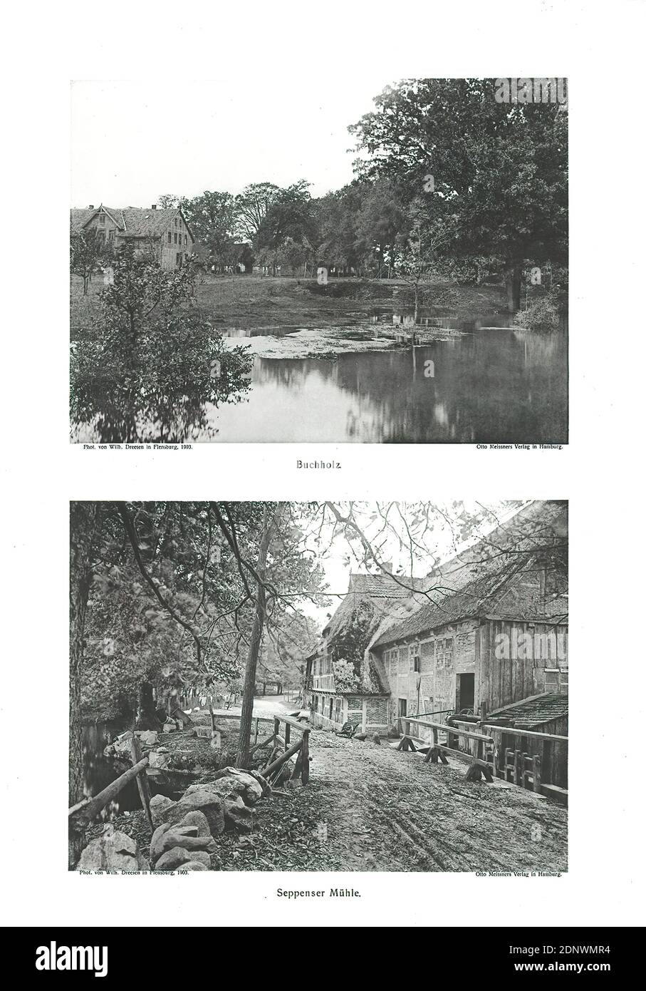 Otto Meissners Verlag, Wilhelm Dreesen, Buchholz e Seppener Mühle. Piastra 60 dal portfolio Wanderungen durch Heide und Moor zwischen Elba, Jeetze, aller und Weser, Staatliche Landesbildstelle Amburgo, collezione sulla storia della fotografia, carta, stampa collotipica, dimensioni del foglio: Altezza: 43.90 cm; larghezza: 31.00 cm, etichettatura oggetti e fotografia paesaggistica, villaggio, stagno, piscina, mulino, vita rurale, paesaggi (zona temperata) Foto Stock