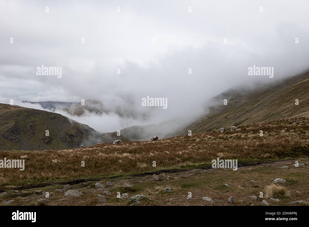 Parco Nazionale del Distretto dei Laghi Foto Stock