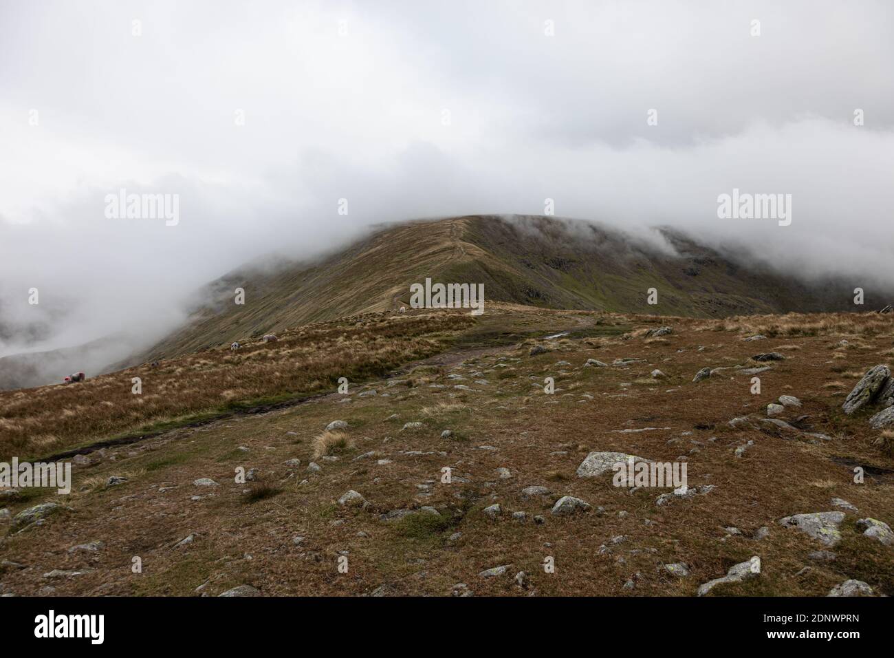 Parco Nazionale del Distretto dei Laghi Foto Stock