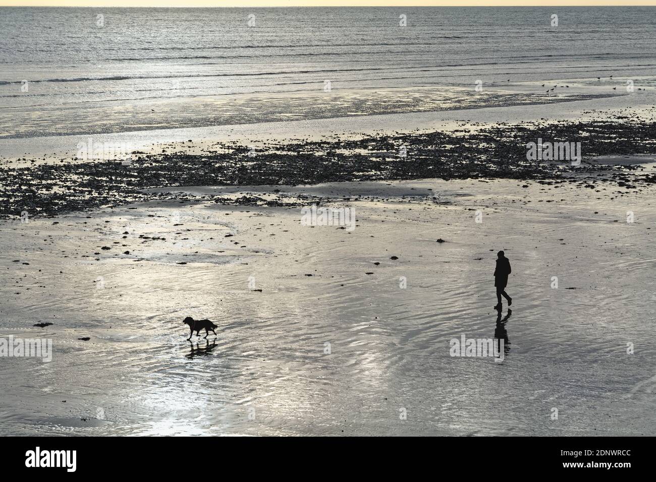 Un cane e camminatore in silhouette sulla spiaggia di Worthing in Winter West Sussex Inghilterra Regno Unito Foto Stock