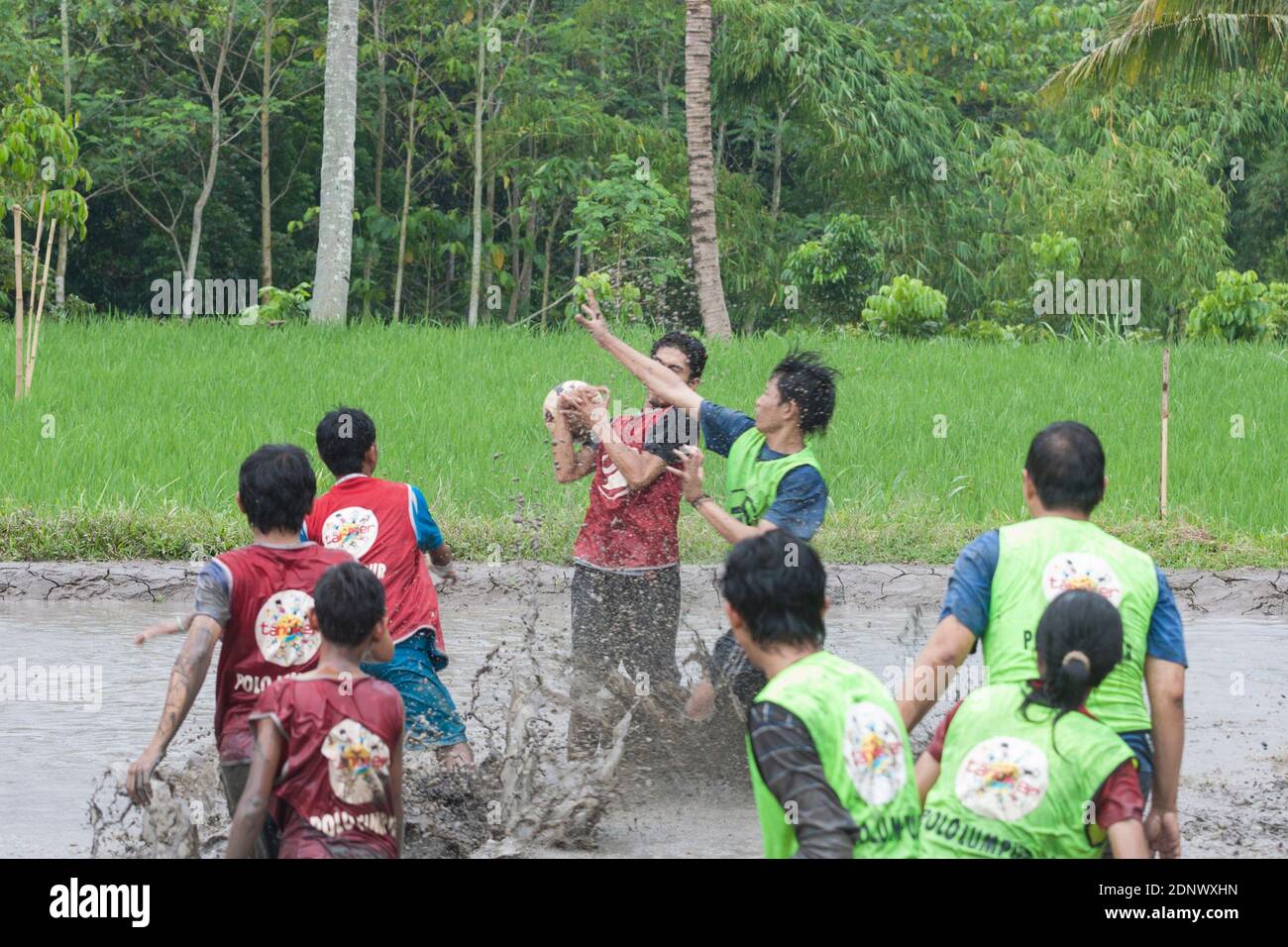 "Polo Lumpur" è una partita di polo in campi di riso fangosi Foto Stock