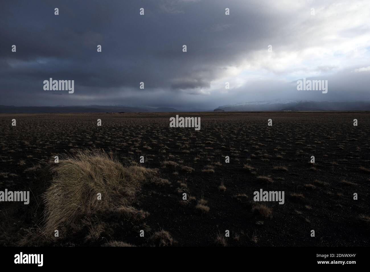 Vulcani/Islanda/Eyjafjallajskull/paesaggio lunare con arcobaleno e erba che cresce attraverso cenere da eruzione vulcanica di Eyjafjallajokull, Islanda Foto Stock