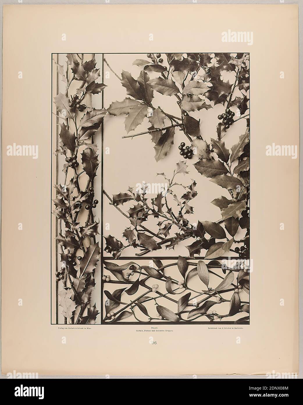 Martin Gerlach, J. Schober, Verlag Gerlach und Schenk, pannello ornamentale, gruppo e fregio di agrifoglio e mistetoe, Staatliche Landesbildstelle Hamburg, collezione sulla storia della fotografia, della carta, del collotipo, dimensione del foglio: Altezza: 40.10 cm; larghezza: 32.10 cm, iscrizione: Recto: Verlag von Gerlach & Schenk a Vienna, Déposé. Gerlach, Festons e gruppi decorativi, collotipo di J. Schober a Karlsruhe. Numerazione, Landesbildstelle, manoscritto inv. No, fotografia, piante ed erbe Foto Stock