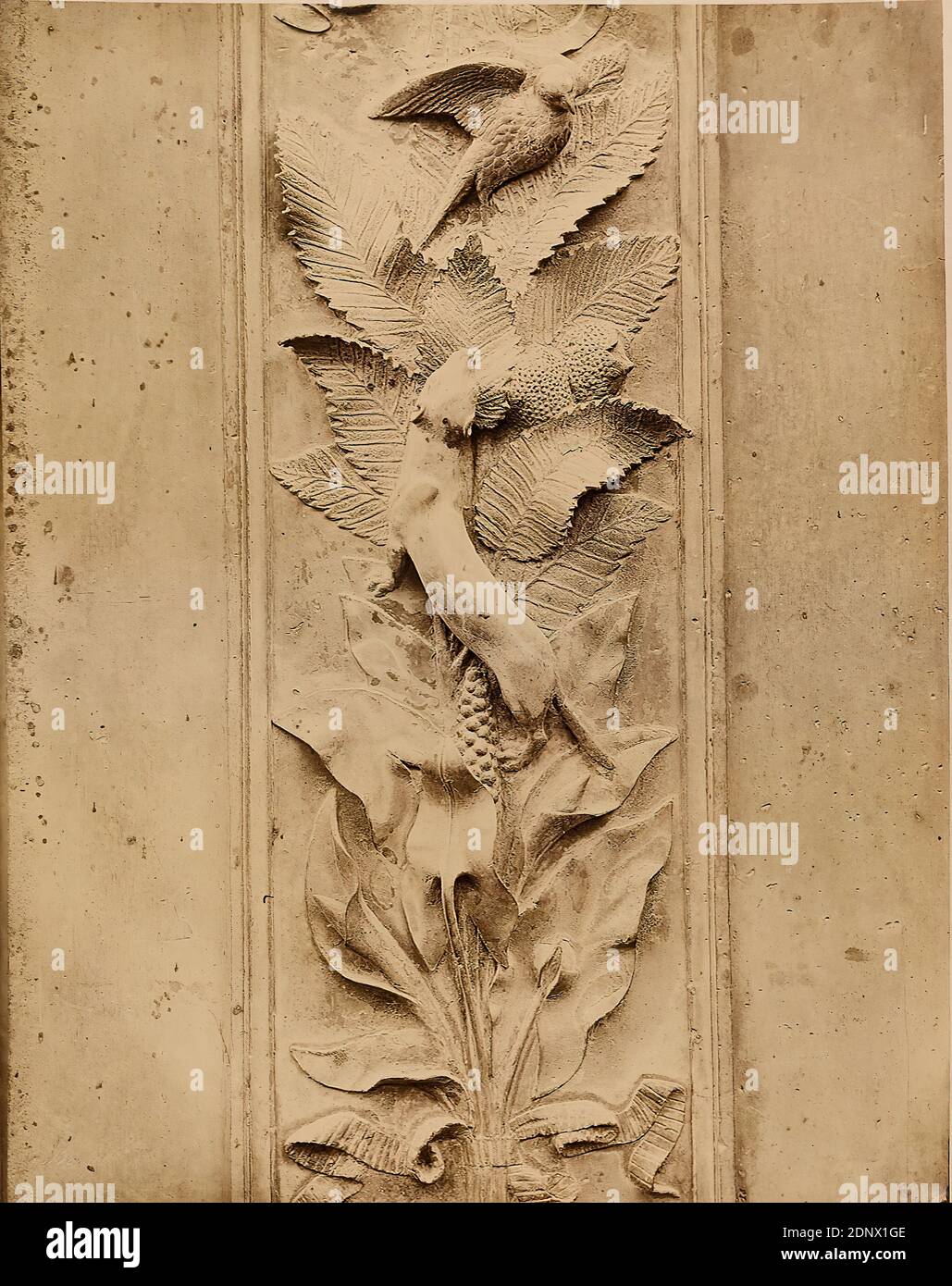 Giacomo Brogi, Edizioni Brogi, particolare della porta del Paradiso di Ghiberti al Battistero di San Giovanni a Firenze, carta albumina, bianco e nero processo positivo, dimensioni foglio: Altezza: 26.50 cm; larghezza: 19.50 cm, timbro: In basso a sinistra: Timbro cieco nella carta fotografica: Brogi, inscritto: Recto in basso: Immagine n. 3315, titolo, fotografia del soggetto, fotografia architettonica, dettagli architettonici, portale (edificio della chiesa Foto Stock