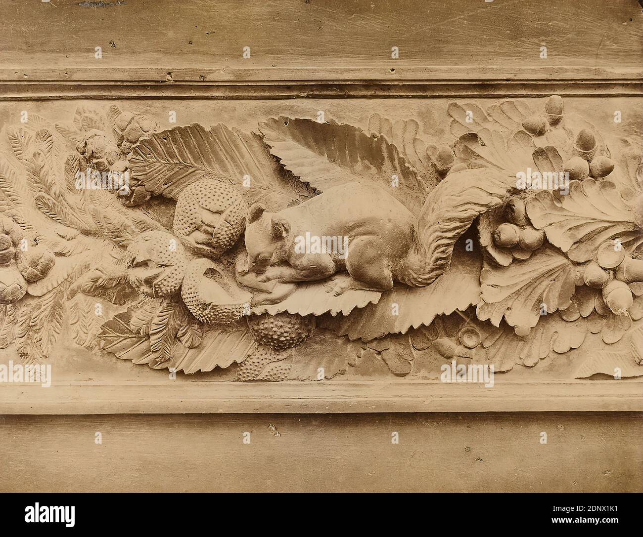 Giacomo Brogi, Edizioni Brogi, particolare della porta del Paradiso di Ghiberti al Battistero di San Giovanni a Firenze, carta albumina, bianco e nero processo positivo, dimensioni foglio: Altezza: 25.00 cm; larghezza: 19.50 cm, timbro: u. sinistra: Timbro cieco in carta fotografica: brogi, fotografia, fotografia architettonica, dettagli architettonici, porta, ornamenti animali, ornamenti floreali, scoiattolo, acorno, portale (edificio della chiesa Foto Stock