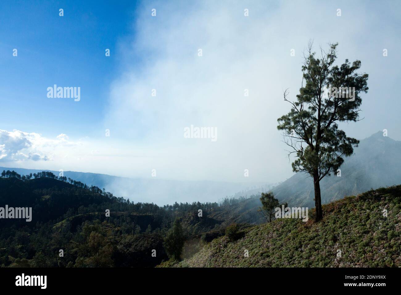 Vista dalla cima del cratere di Ijen Foto Stock