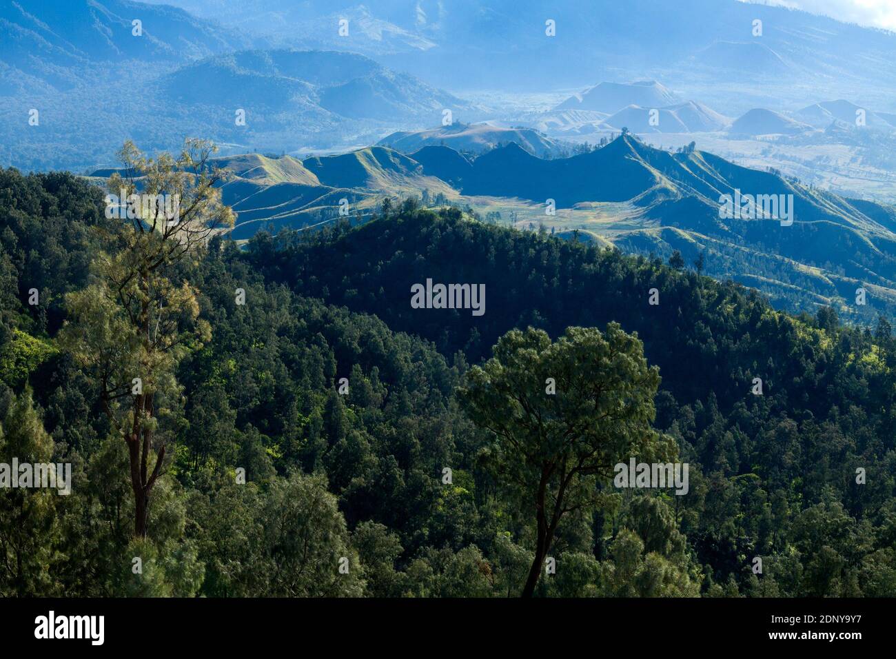 Vista dalla cima del cratere di Ijen Foto Stock