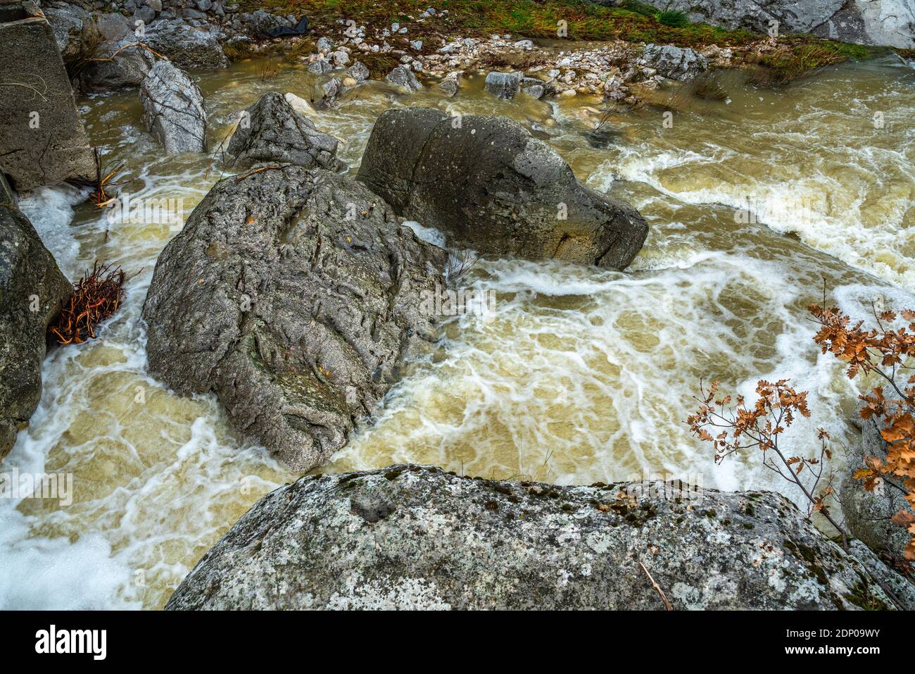 Il fiume, gonfio di pioggia, scorre tumultuosamente tra le rocce. Palena, Abruzzo, Italia, Europa Foto Stock