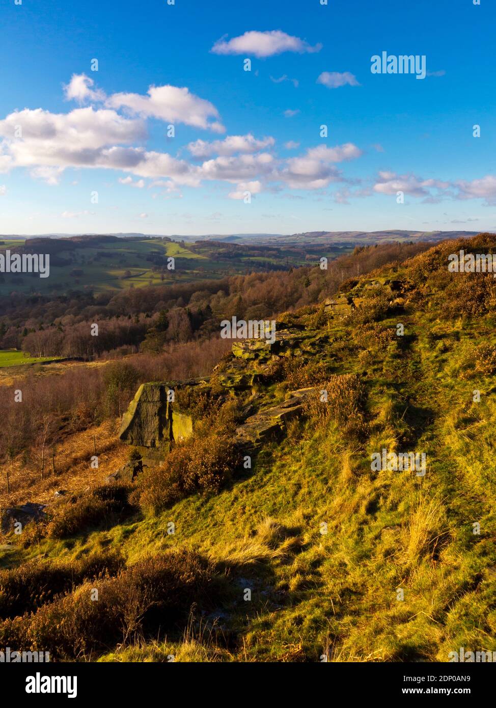 Campagna a Beeley Moor vicino a Bakewell nel Peak District National Park Derbyshire Inghilterra Regno Unito fotografato sotto il sole invernale in gennaio. Foto Stock