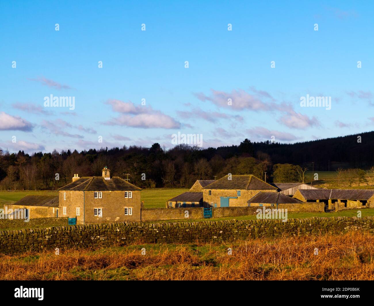 Edifici agricoli a Beeley Moor vicino a Bakewell nel Peak District National Park Derbyshire Inghilterra Regno Unito fotografato in inverno sole in gennaio. Foto Stock