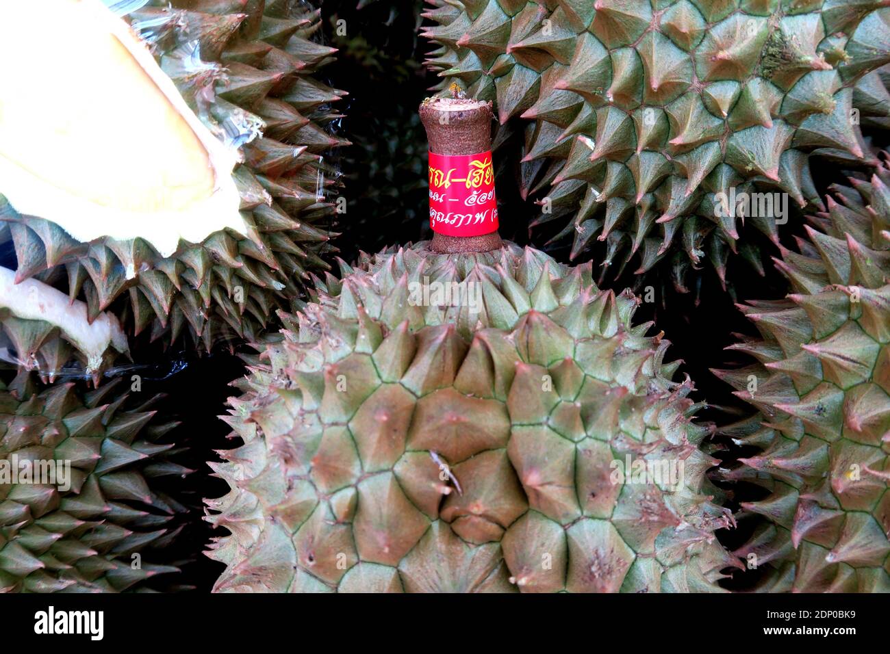 Durian per la vendita, Klong Tan area, Bangkok, Thailandia Foto Stock