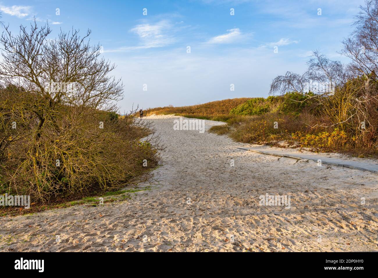 Impronte su una spiaggia di sabbia. Foto di Lomma Beach, contea di Scania, Svezia Foto Stock