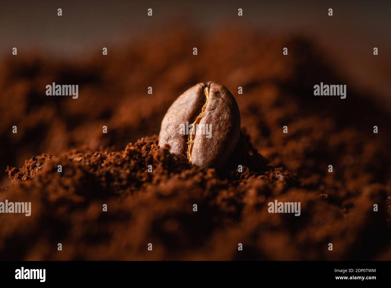 Chicchi di caffè arrosto sul cumulo di caffè macinato. Scatto macro. Tema caffè. Messa a fuoco selettiva. Profondità di campo poco profonda. Foto Stock