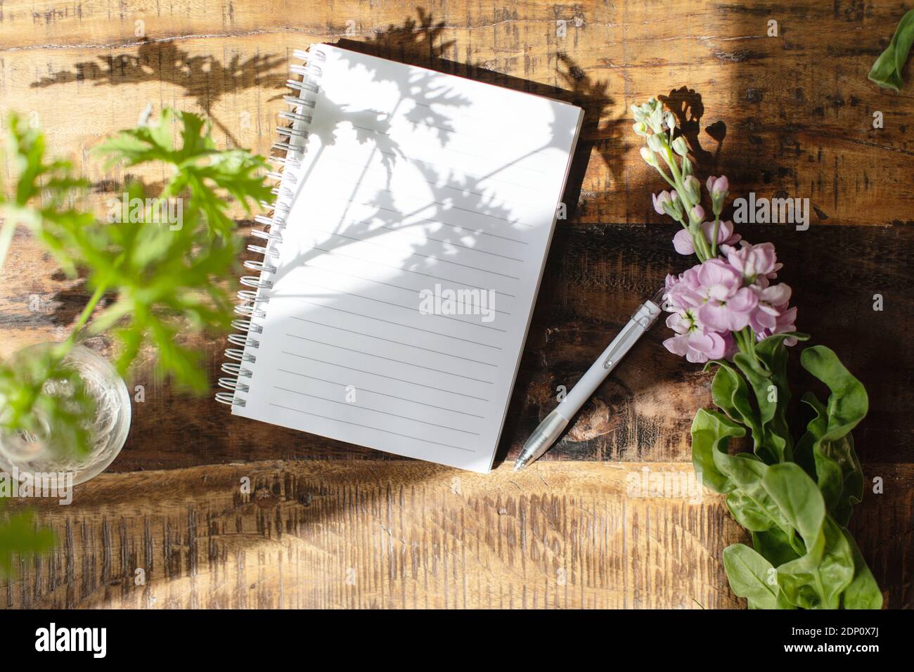 Ombra delle foglie sul notebook Foto Stock