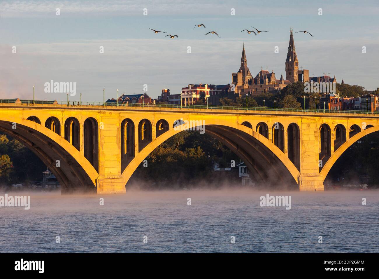 Canada Geese Vola sopra il Key Bridge sul fiume Potomac, la mattina presto, guardando verso la Georgetown University, Washington DC, USA. Foto Stock