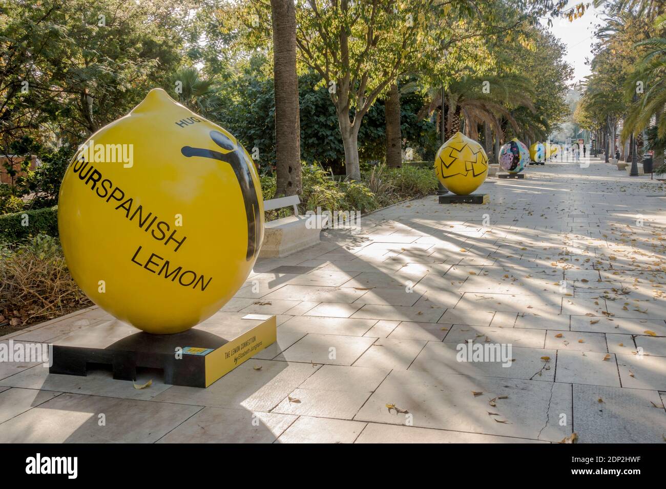 Tour della mostra d'arte del limone, nelle strade di Malaga, Andalusia, Spagna. Foto Stock