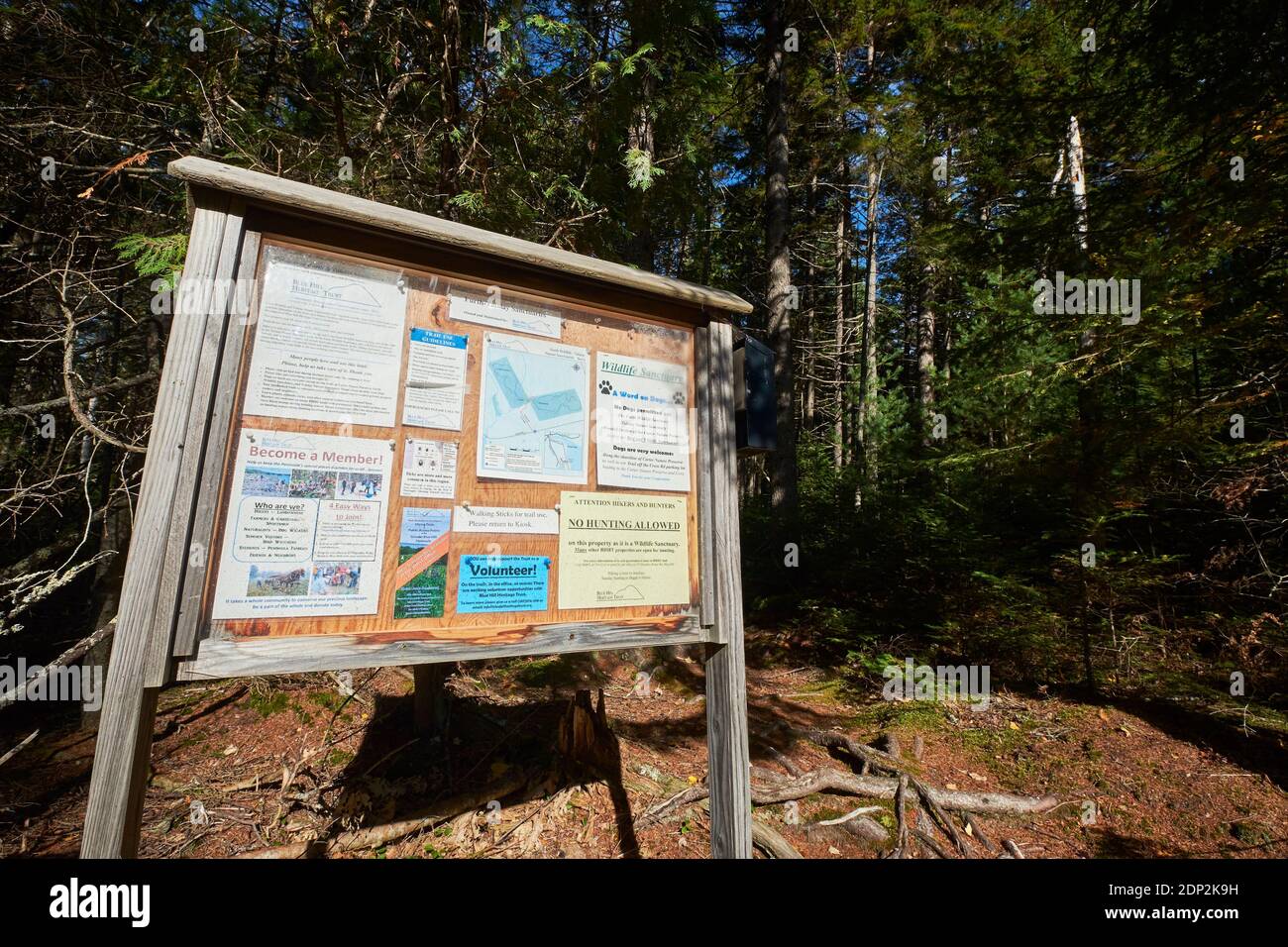 Il bordo di rimbalzo del rimorchio. Sul Furth Talalay Blue Hill Heritage Trust Trail a Surry, Maine. Foto Stock