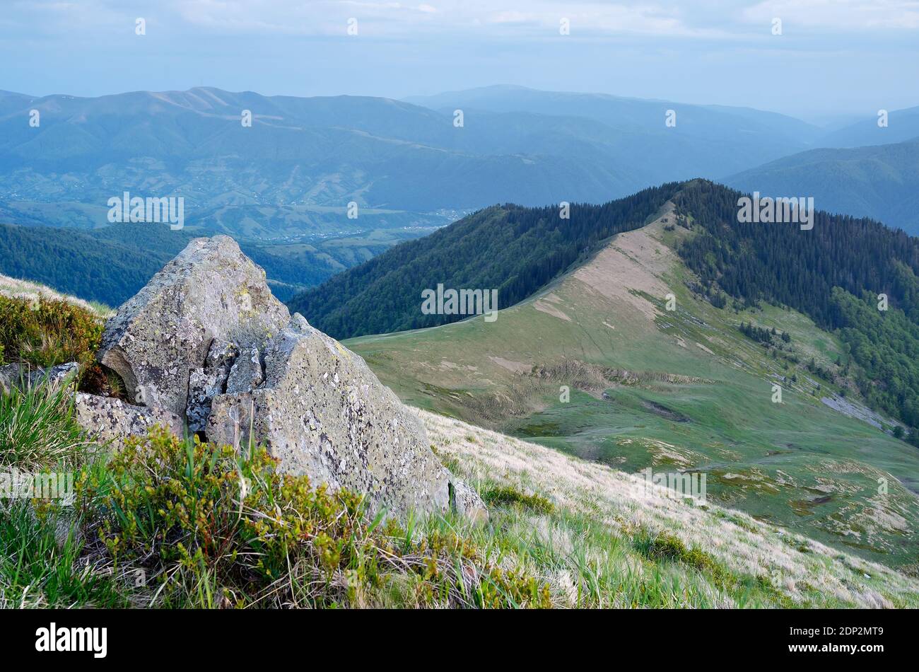 Serata in montagna. Paesaggio estivo con una valle di montagna. Carpazi, Ucraina, Europa Foto Stock