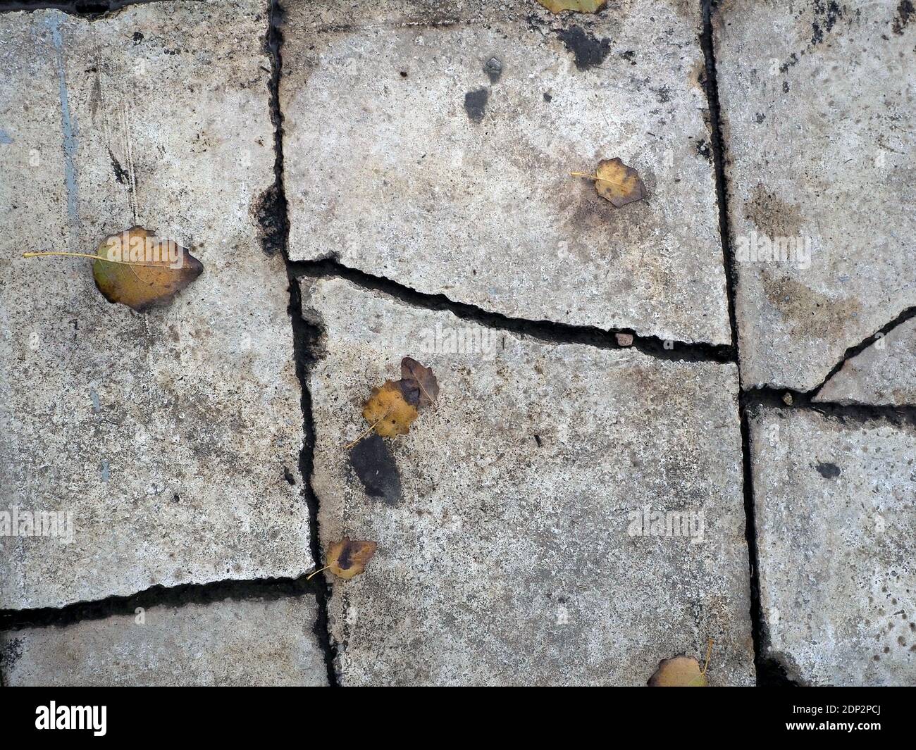 Foglie d'autunno caduto su un pavimento di cemento grigio e ruvido Foto Stock