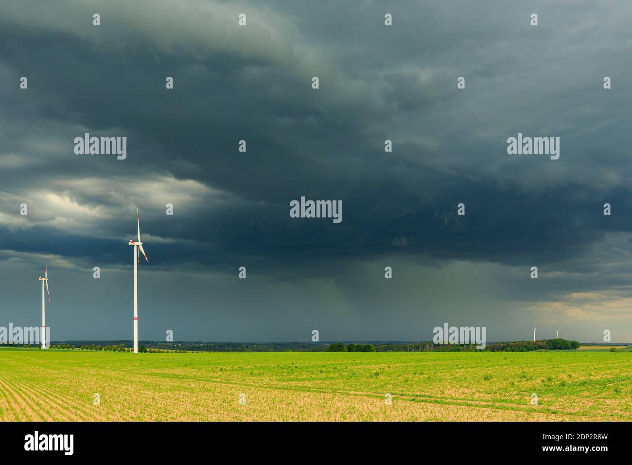 Una tempesta sta arrivando sopra un gruppo di mulini a vento, Lausitz, Sassonia Foto Stock