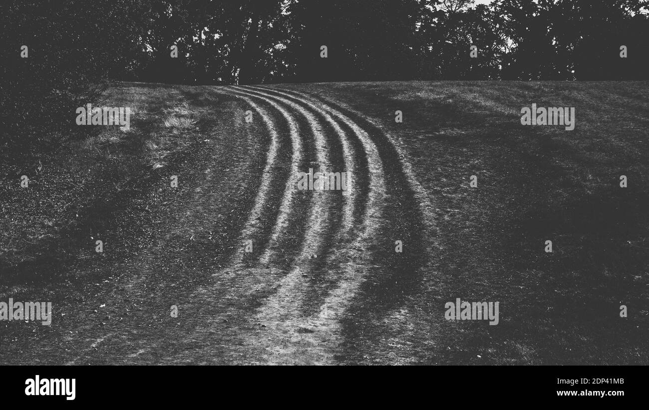 Strada in natura, sfondo bianco e nero con sentiero con lunga strada. Foto Stock