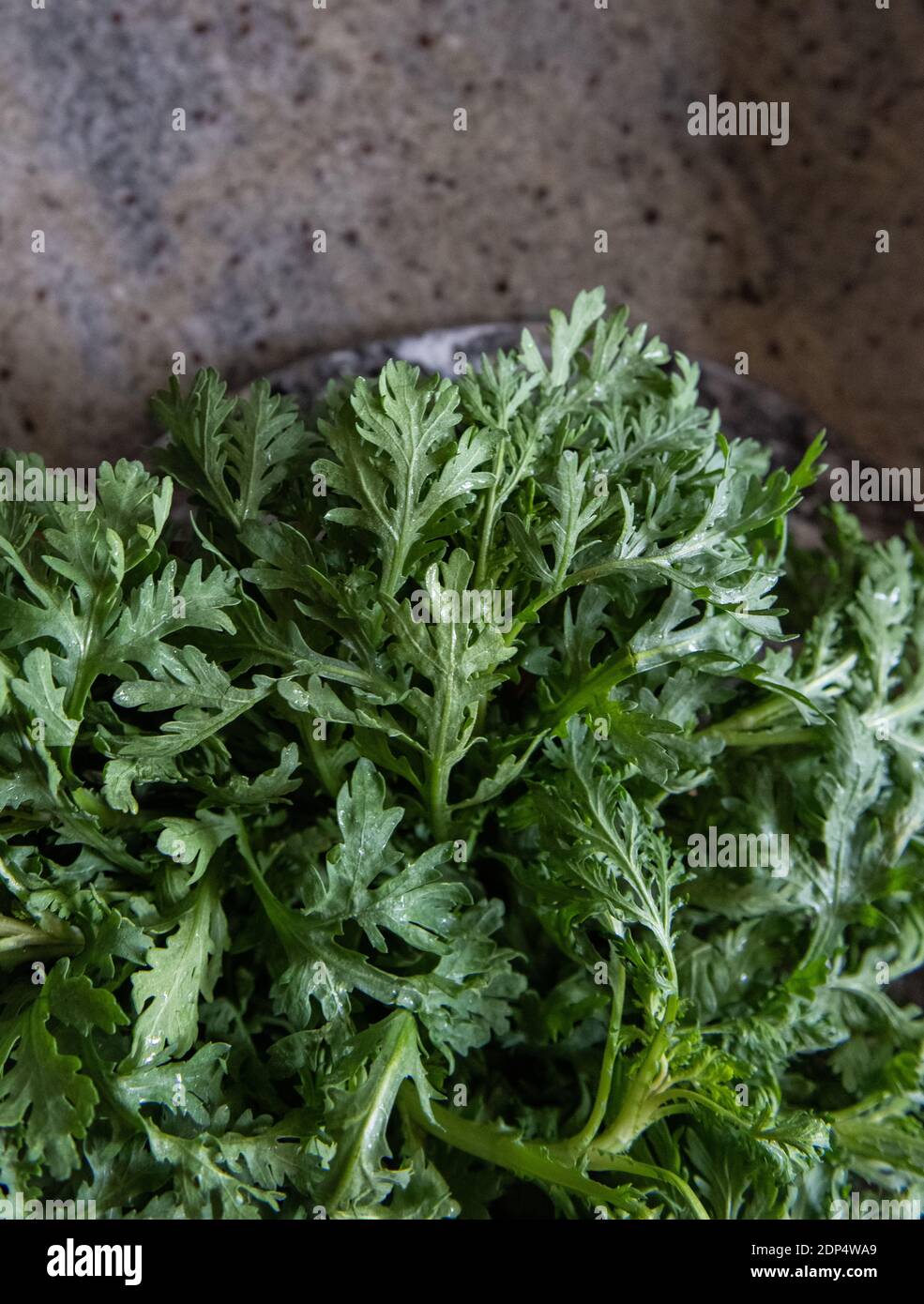 Foglie di Arugula fresche Foto Stock