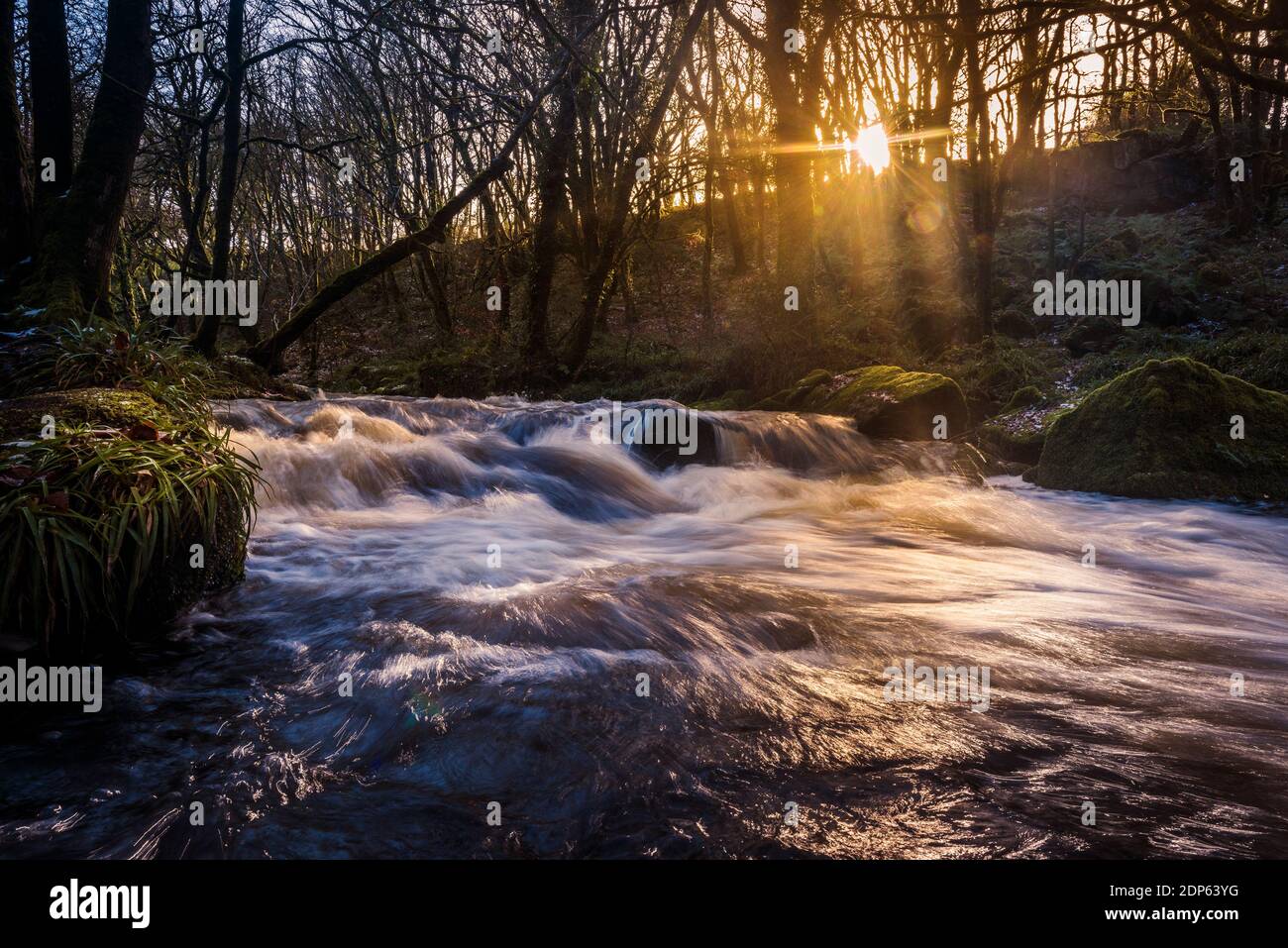 Nel tardo pomeriggio luce del sole mentre il fiume Fowey scorre lungo Golitha Falls nello storico e antico bosco Draynes Wood in Cornovaglia. Foto Stock