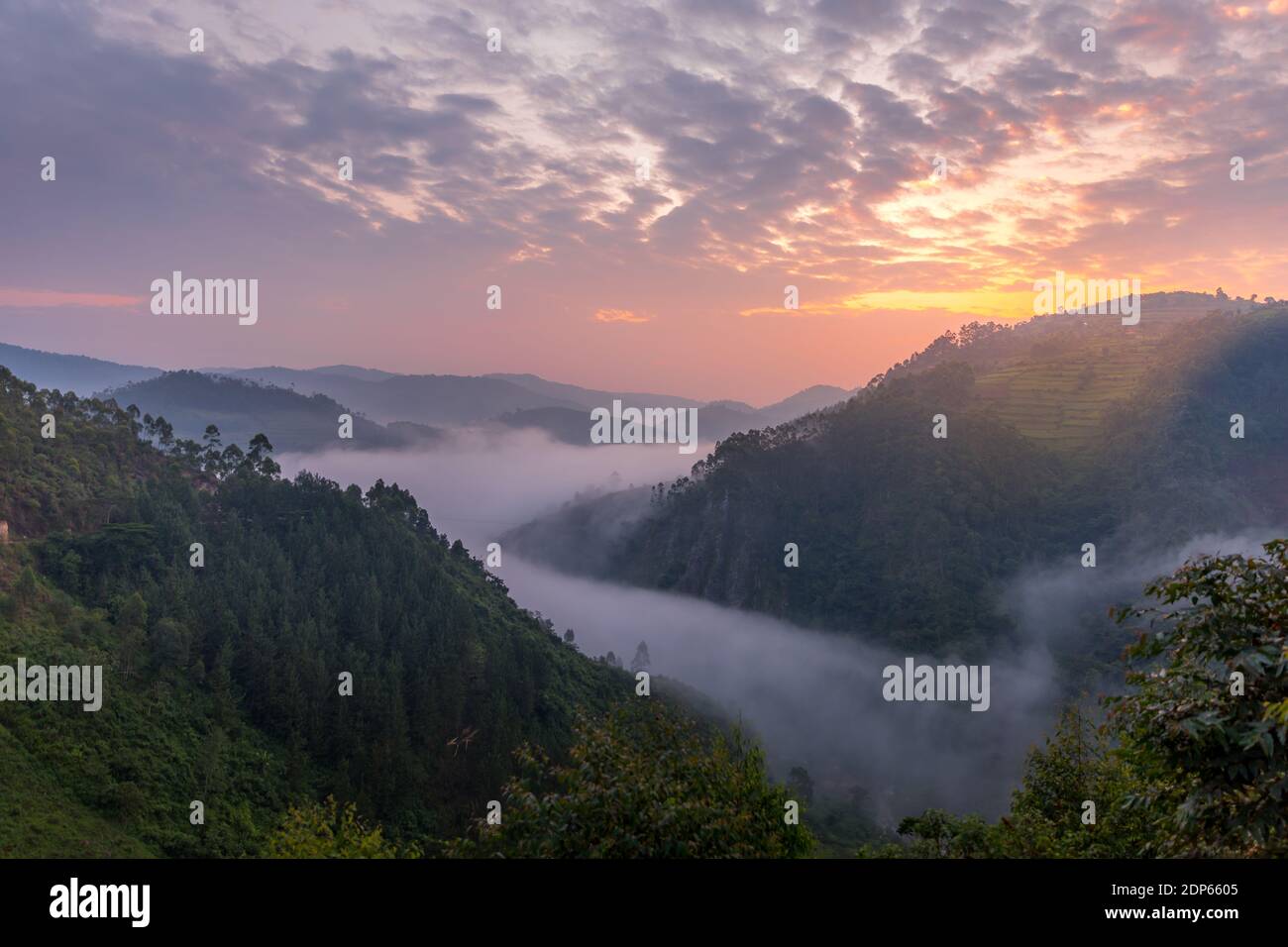 Splendido paesaggio nell'Uganda sudoccidentale, all'impenetrabile Parco Nazionale della Foresta di Bwindi, ai confini di Uganda, Congo e Ruanda. Foto Stock