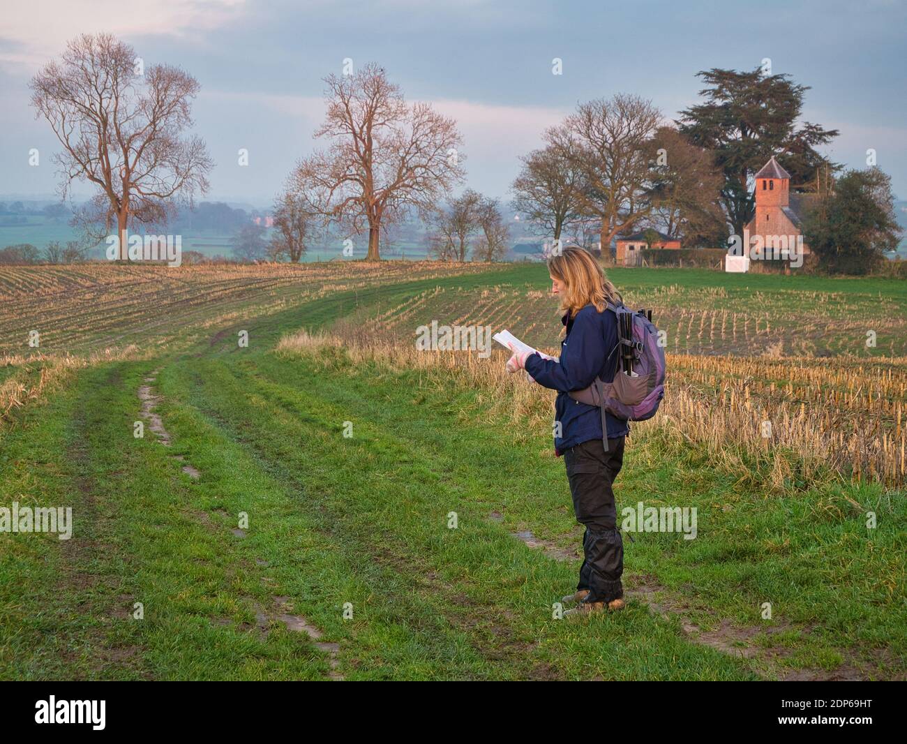 Una sola donna che cammina in attrezzatura da passeggio su un percorso attraverso un campo tagliato di stoppie di raccolto controlla il suo percorso con una mappa. Preso a Cheshire, Regno Unito. Foto Stock