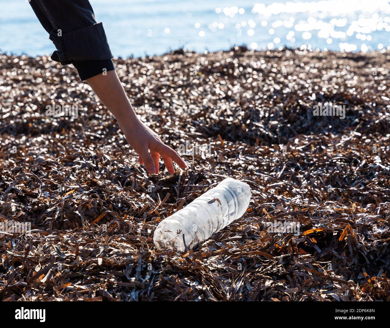 Concetto di inquinamento ambientale e marino, rifiuti, mano di donna raccolta rifiuti bottiglie di plastica bottiglia d'acqua di plastica, sulla spiaggia. Foto Stock