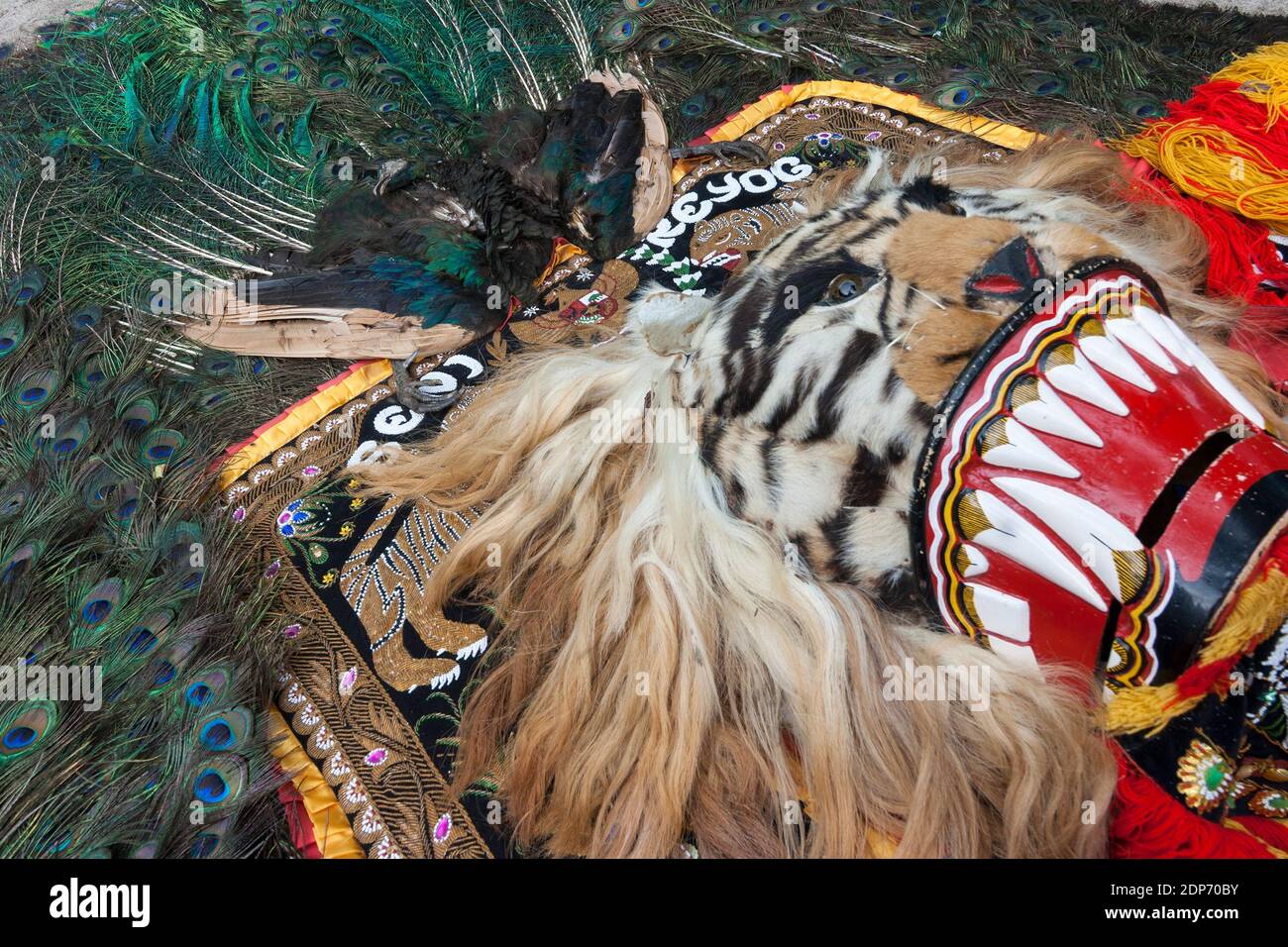 Reog è una cultura tipica di Ponorogo, Giava Orientale. Foto Stock