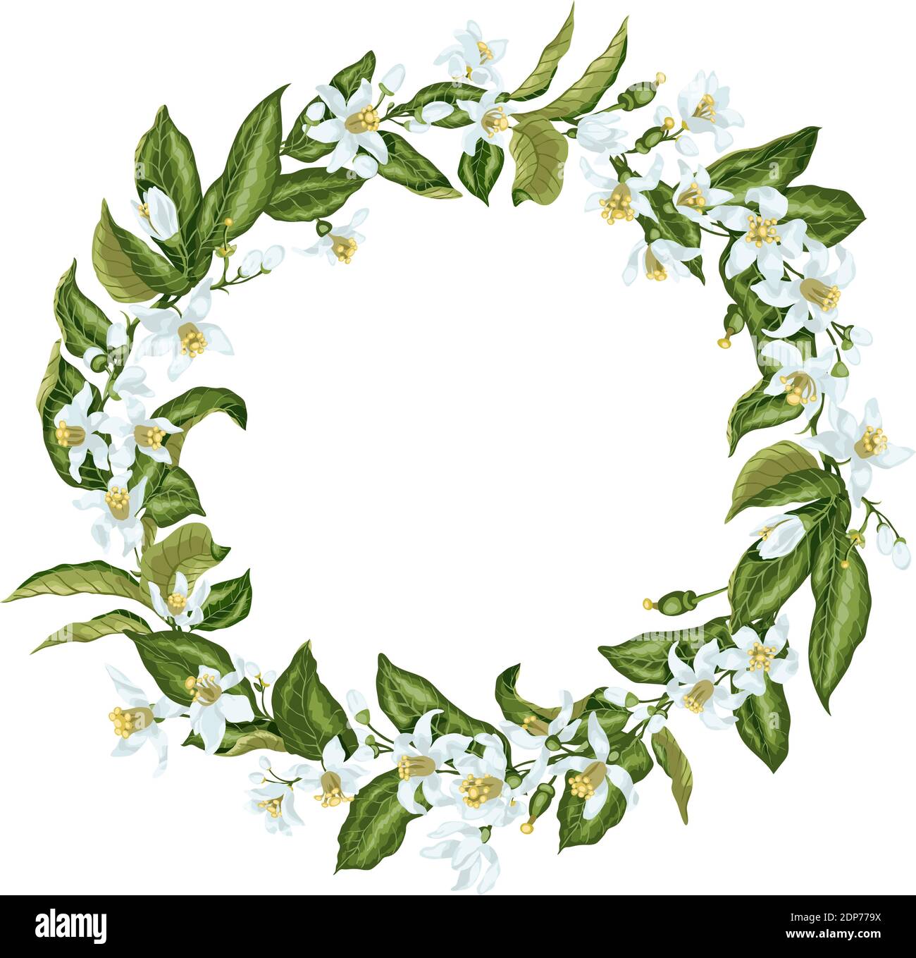 Corona con fiori di agrumi a forma di cerchio con limoni, mandarini, lime e fiori d'arancio, foglie, minuscoli frutti e boccioli. L'immagine è fatta in pgra Illustrazione Vettoriale